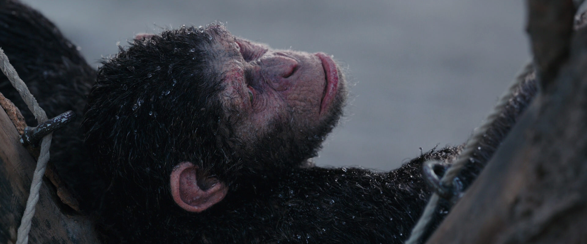 War for the Planet of the Apes (2017) HD screenshot 10265