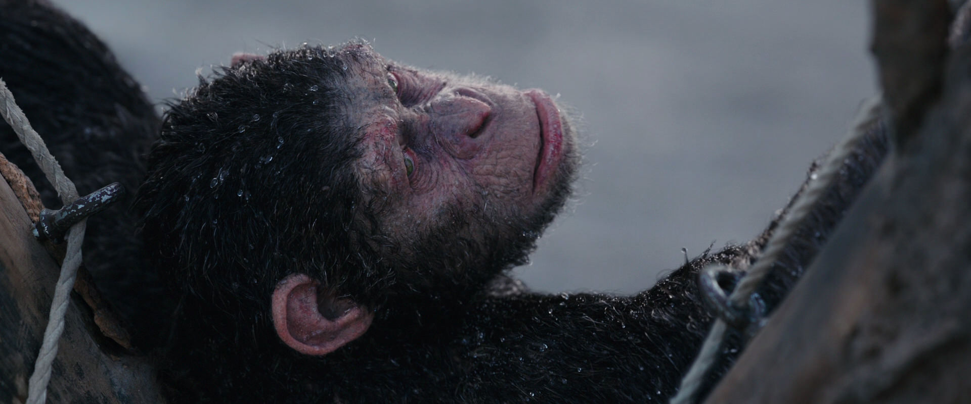 War for the Planet of the Apes (2017) screencap 10266