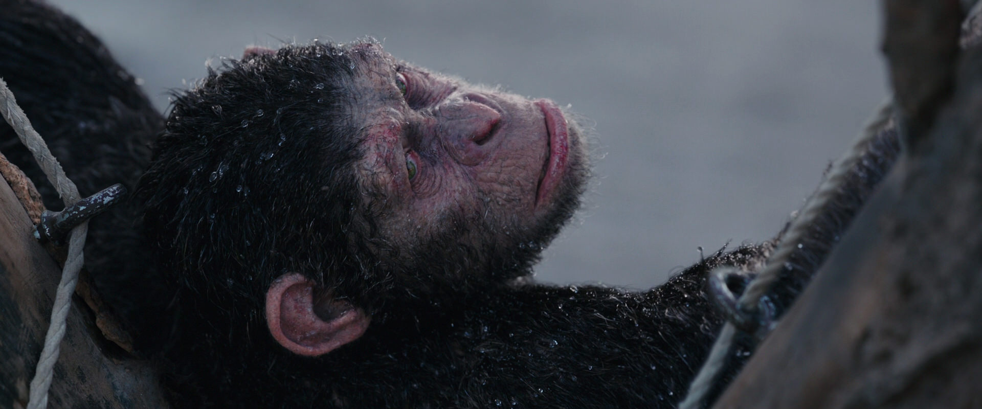War for the Planet of the Apes (2017) movie still 10267