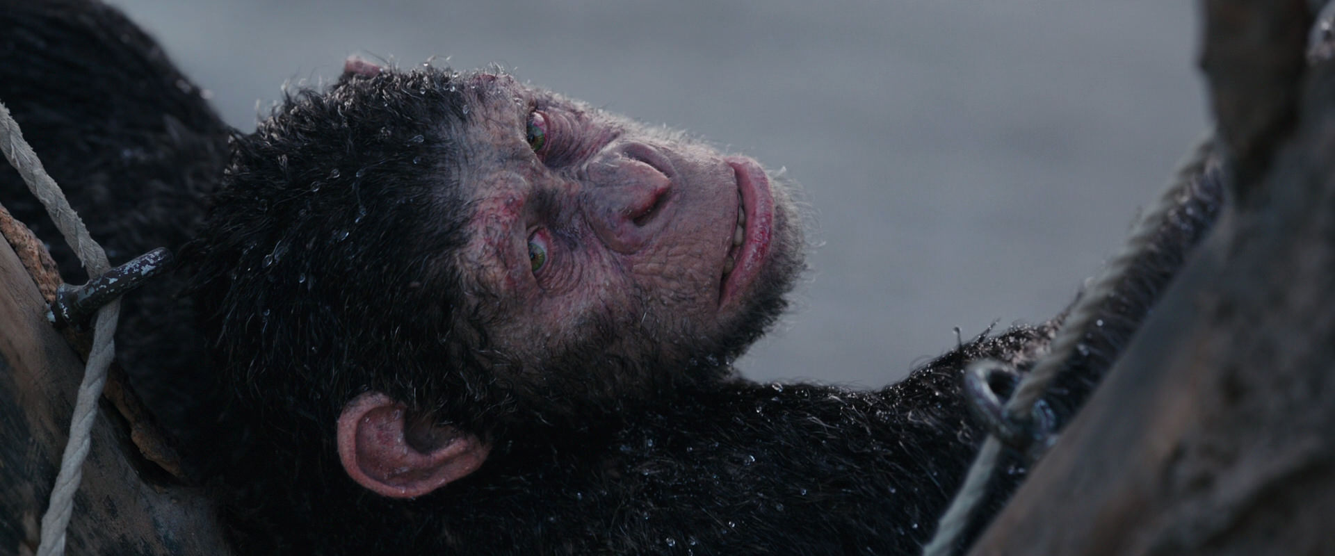 War for the Planet of the Apes (2017) HD screenshot 10268