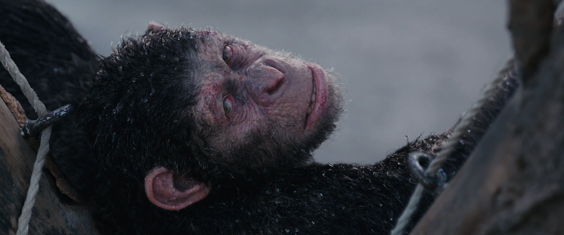 War for the Planet of the Apes (2017) screencap 10269