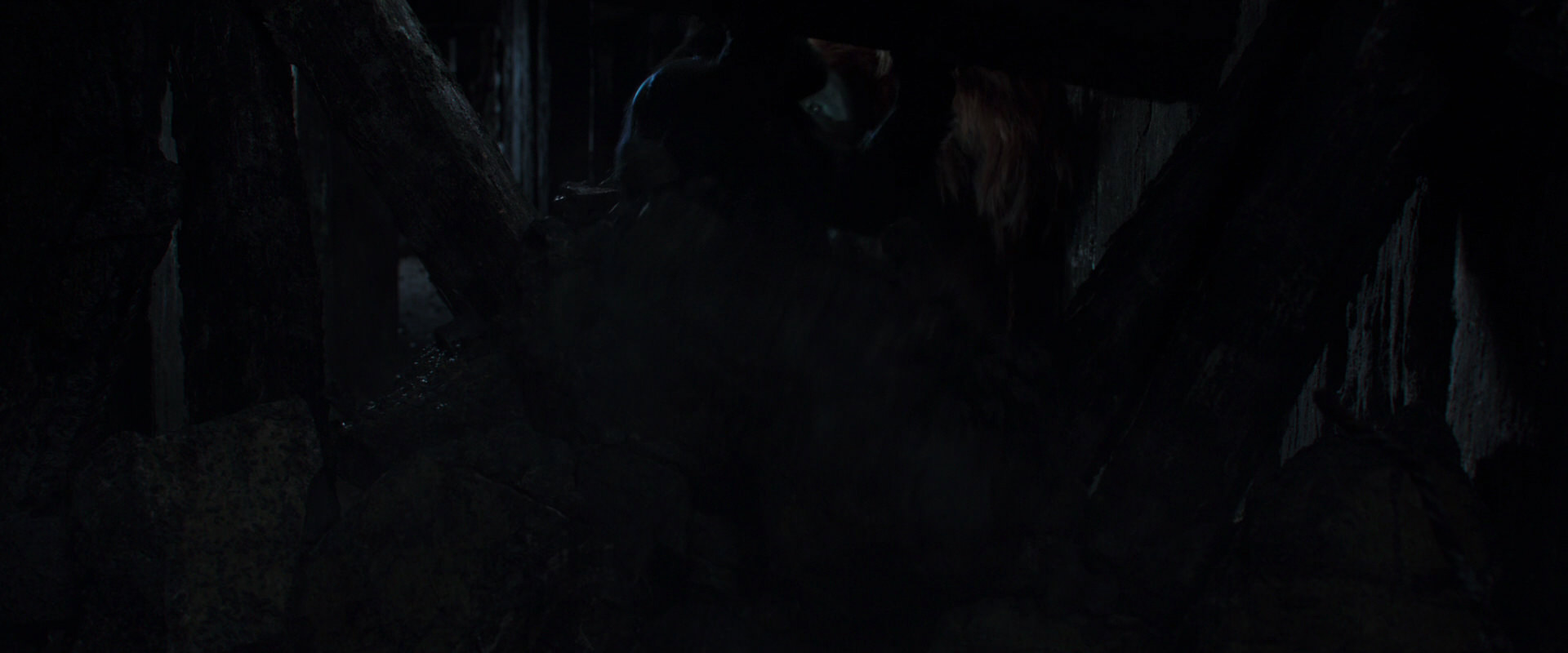 War for the Planet of the Apes (2017) screencap 10278