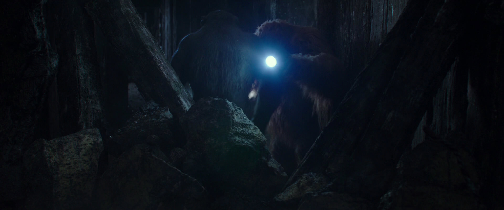 War for the Planet of the Apes (2017) screencap 10281