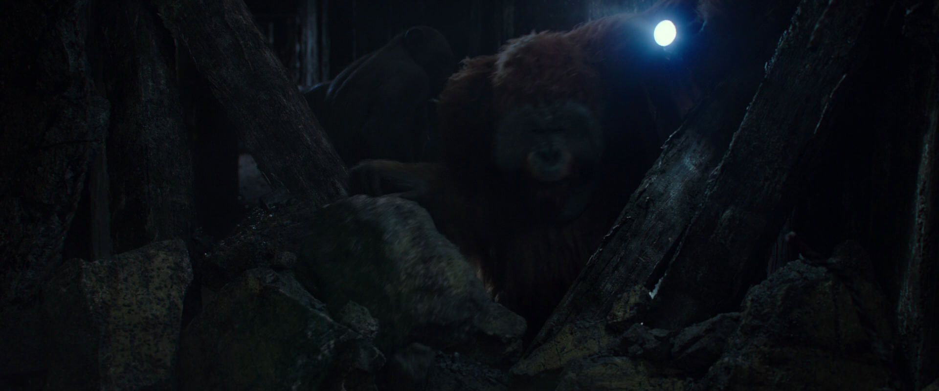 War for the Planet of the Apes (2017) screencap 10284