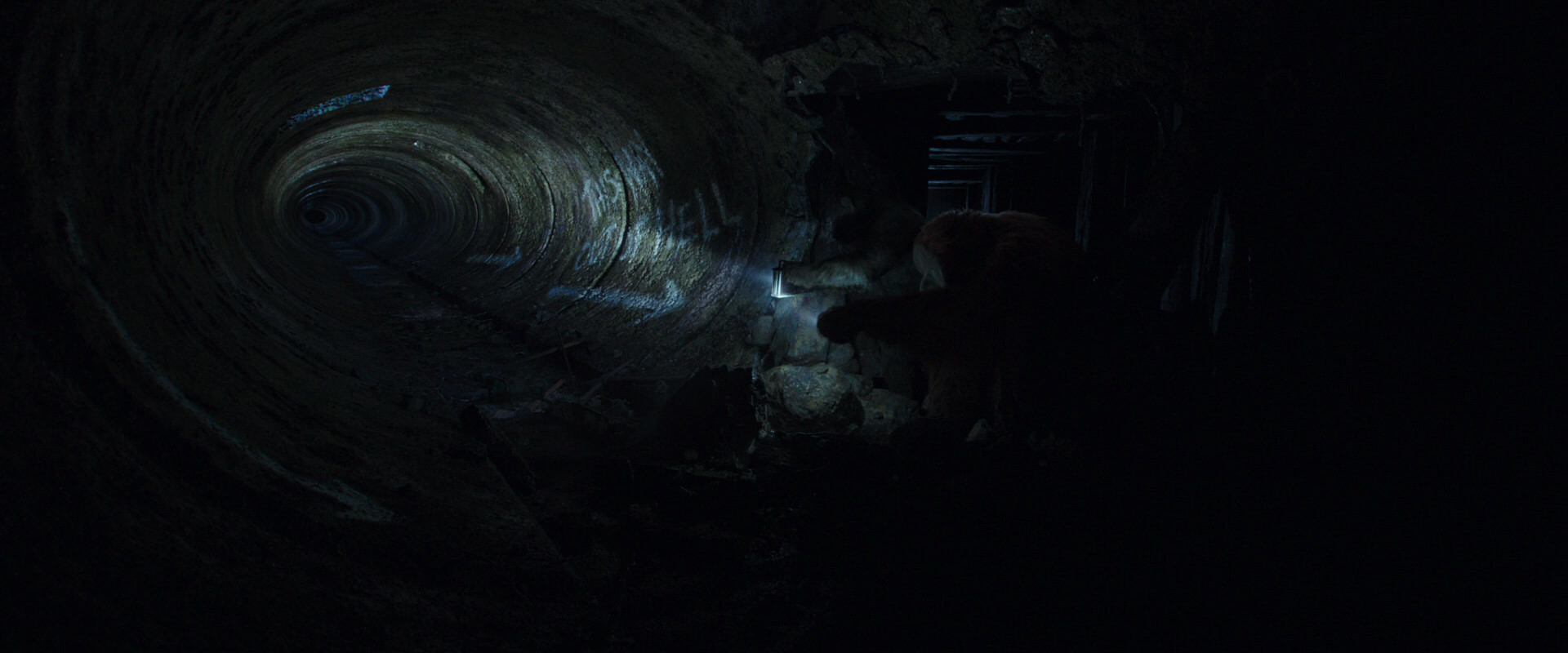 War for the Planet of the Apes (2017) screencap 10290