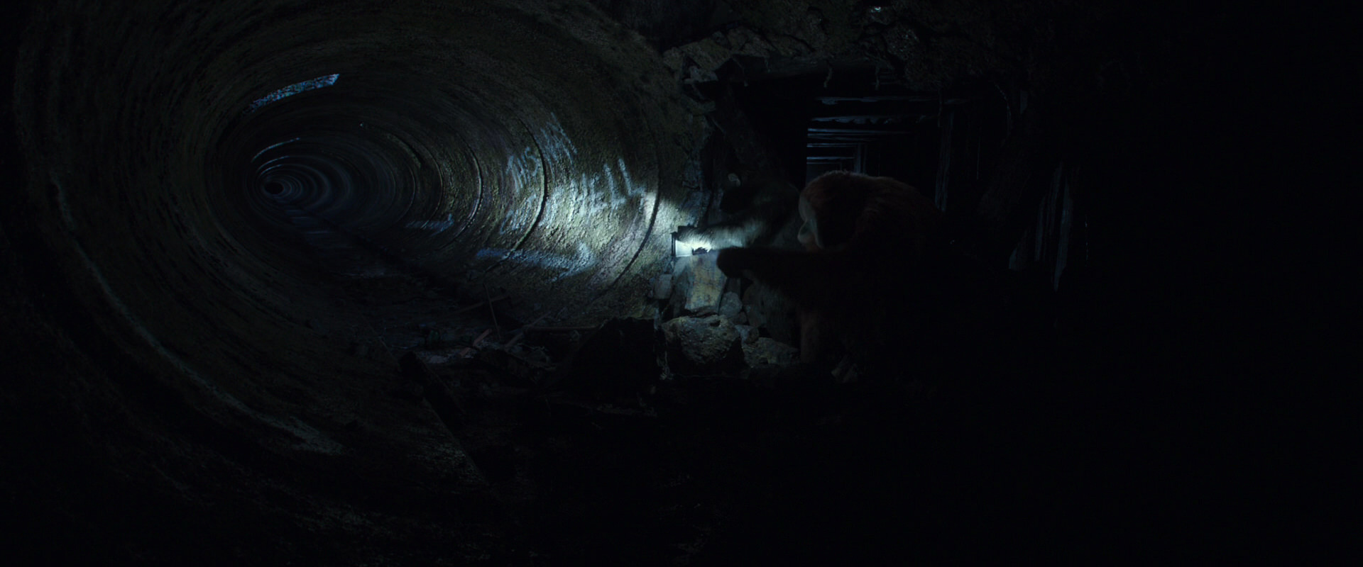 War for the Planet of the Apes (2017) screencap 10293