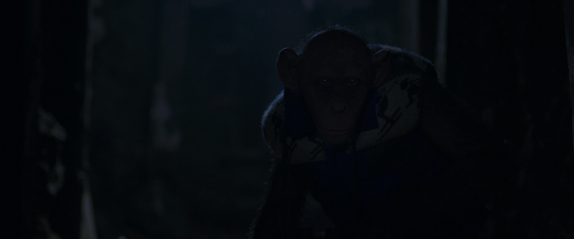 War for the Planet of the Apes (2017) screencap 10308