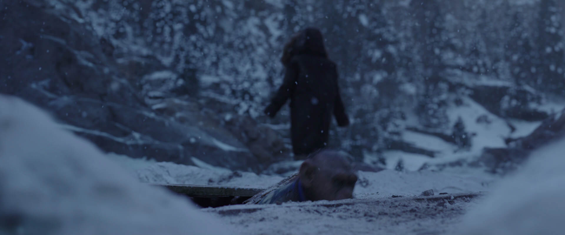 War for the Planet of the Apes (2017) movie still 10330