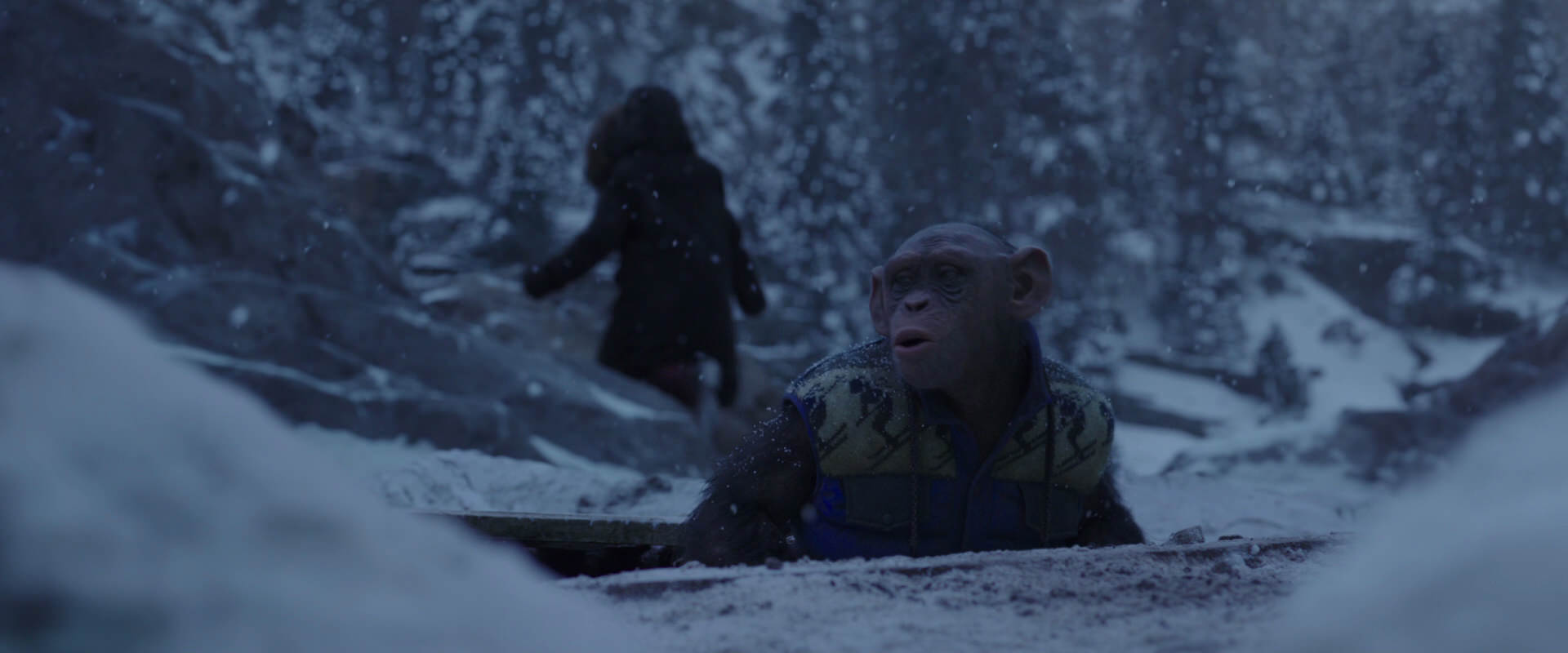 War for the Planet of the Apes (2017) movie still 10333