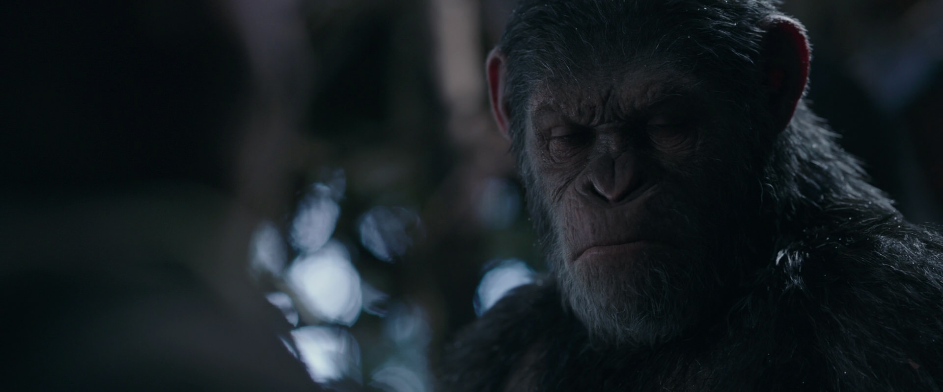 War for the Planet of the Apes (2017) screencap 1035