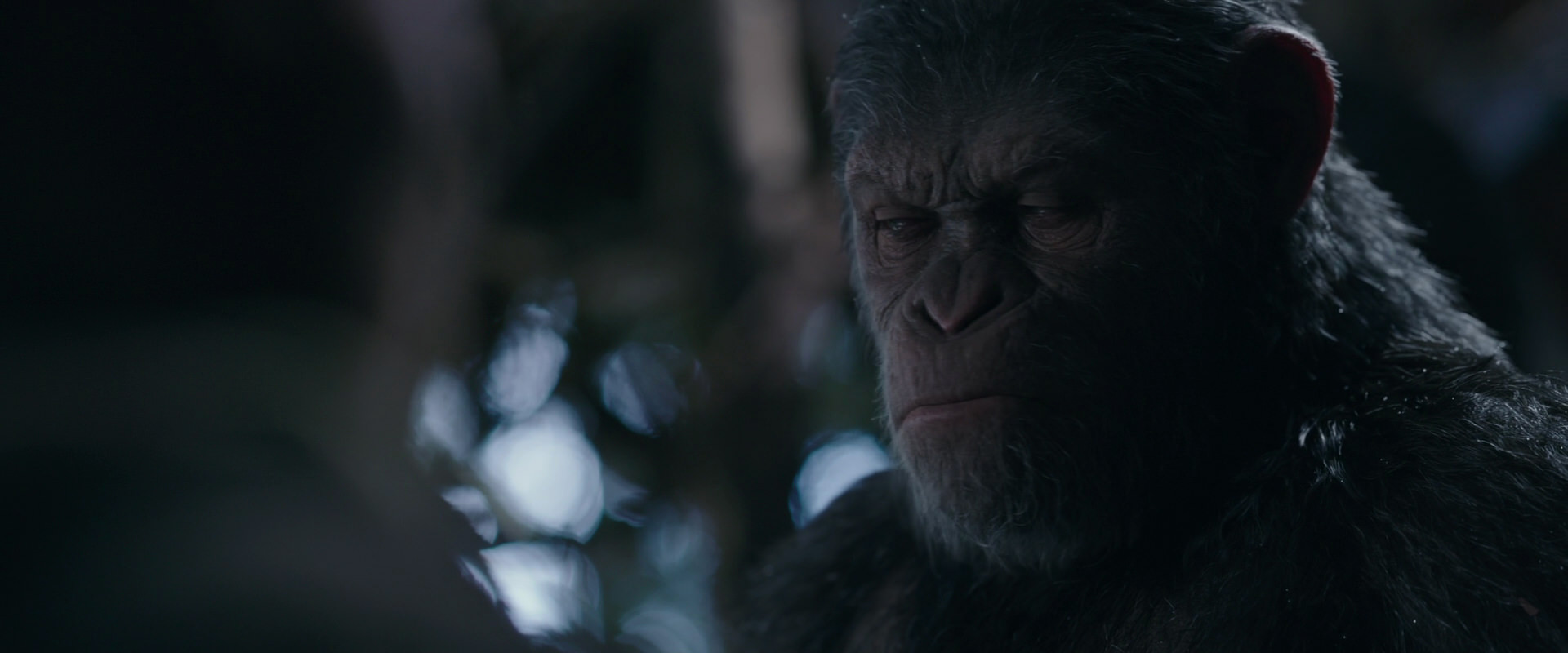 War for the Planet of the Apes (2017) movie still 1036