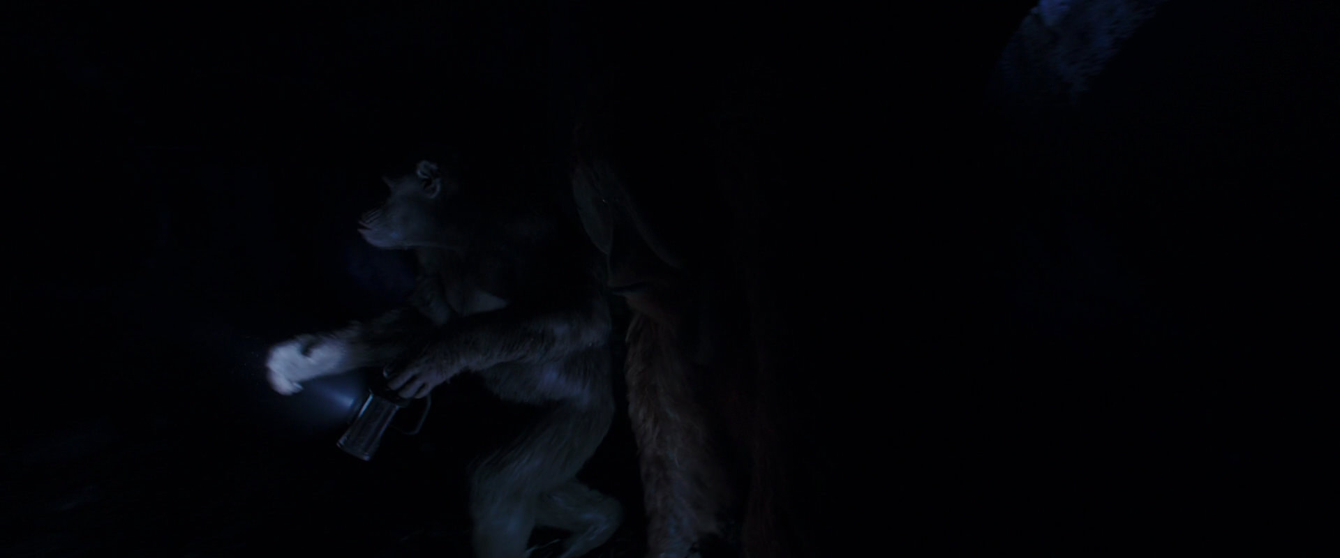 War for the Planet of the Apes (2017) screencap 10362
