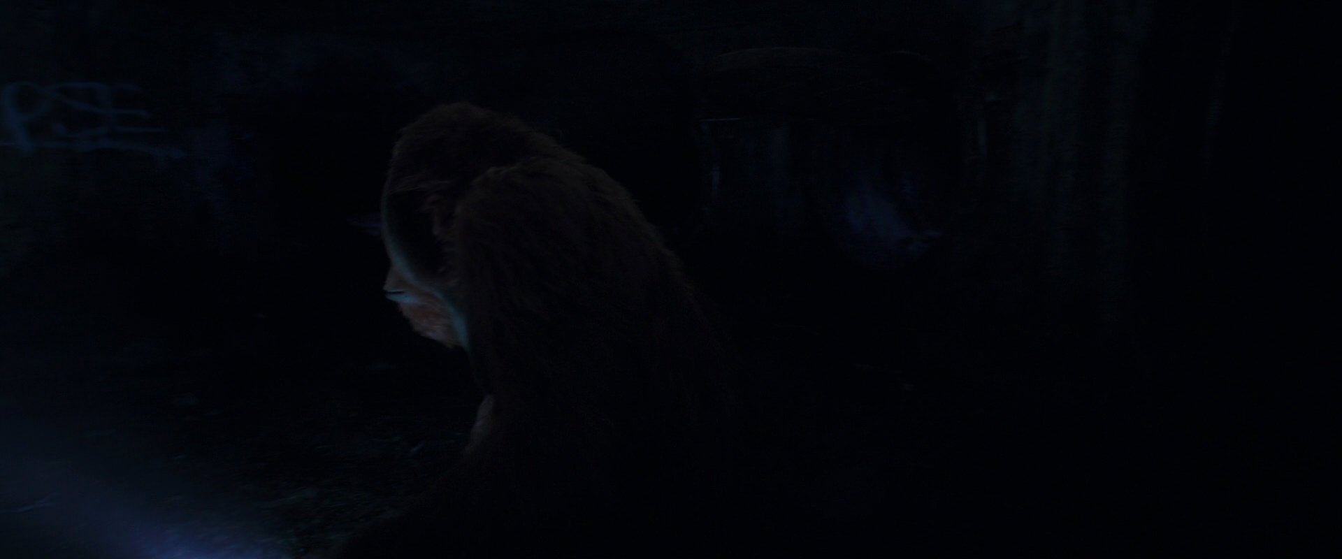 War for the Planet of the Apes (2017) screencap 10365