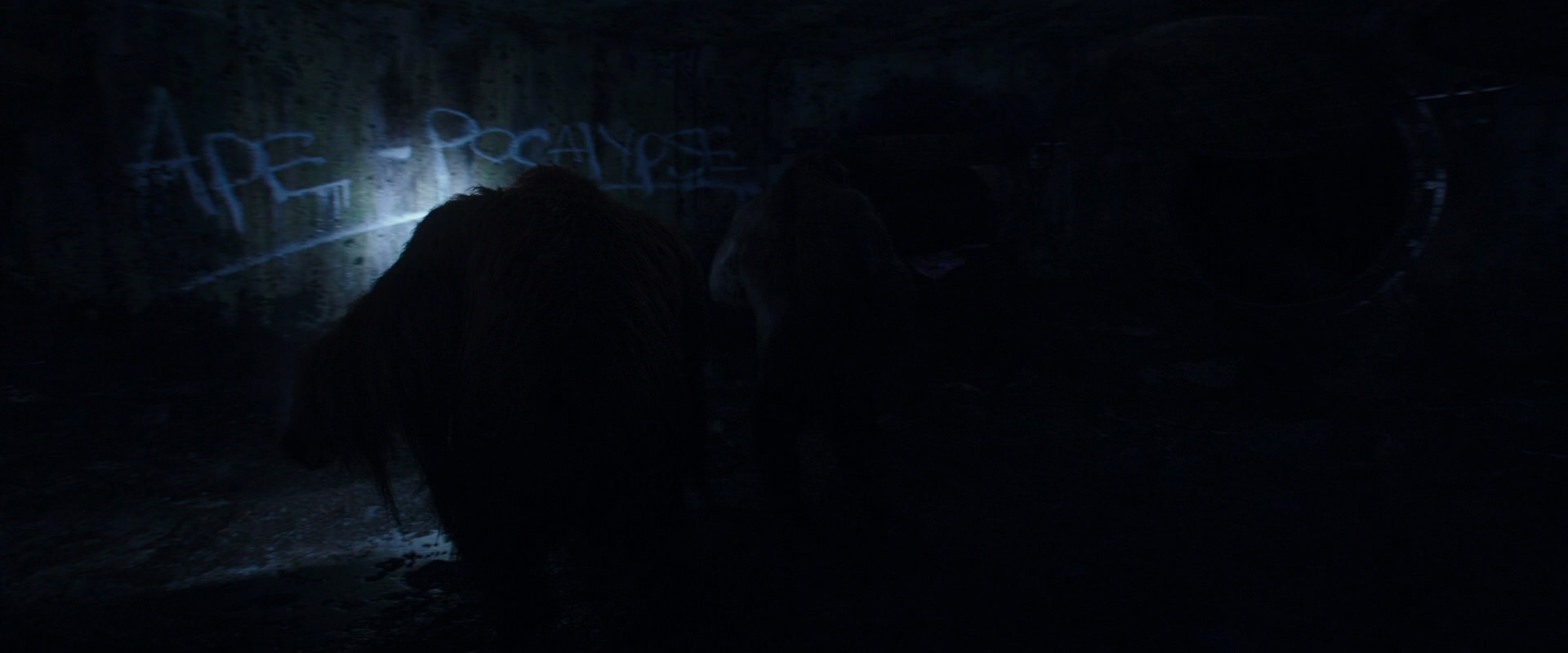 War for the Planet of the Apes (2017) screencap 10368