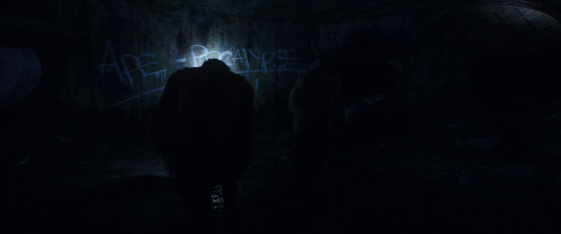 War for the Planet of the Apes (2017) movie still 10369
