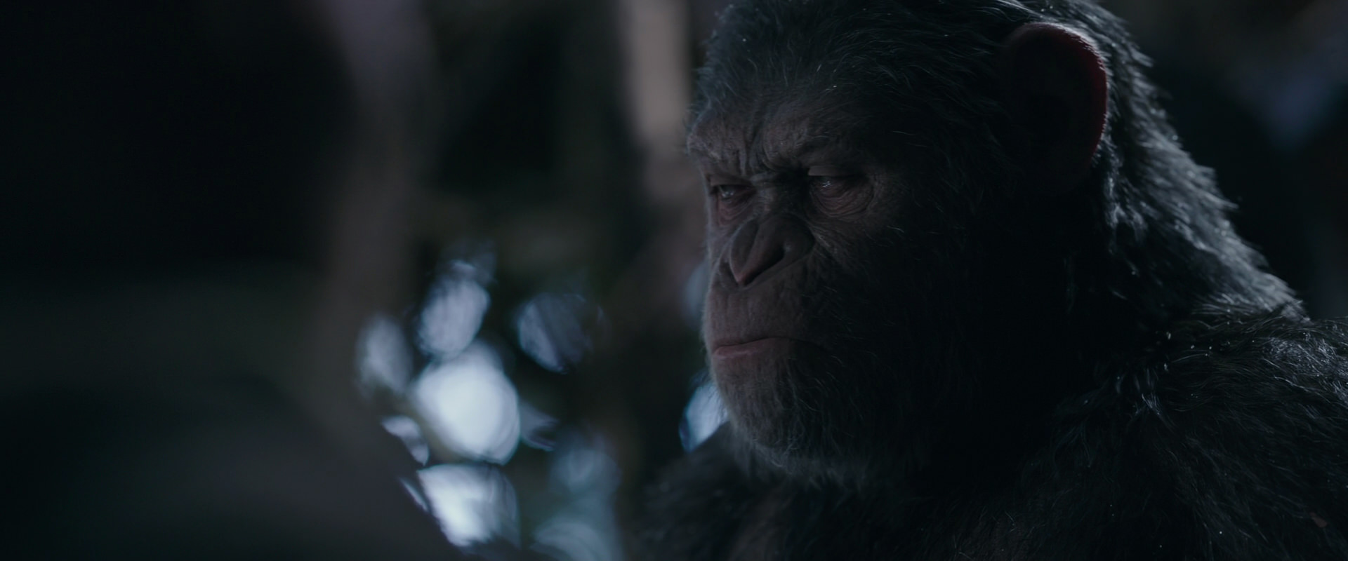 War for the Planet of the Apes (2017) HD screenshot 1037