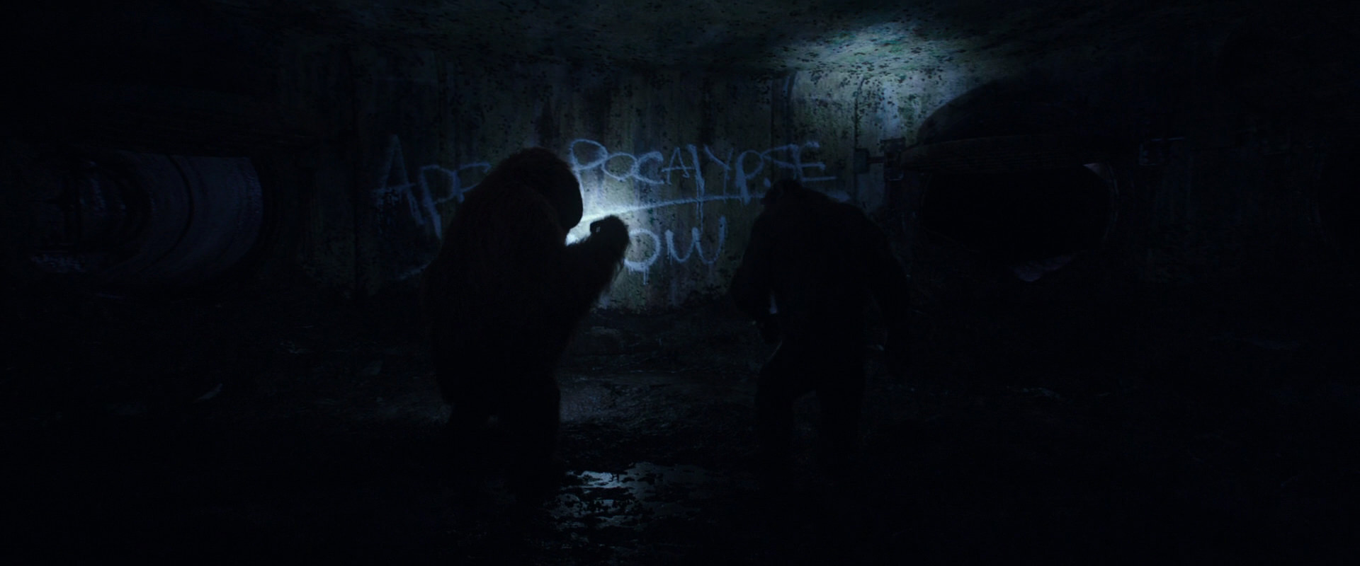 War for the Planet of the Apes (2017) screencap 10371
