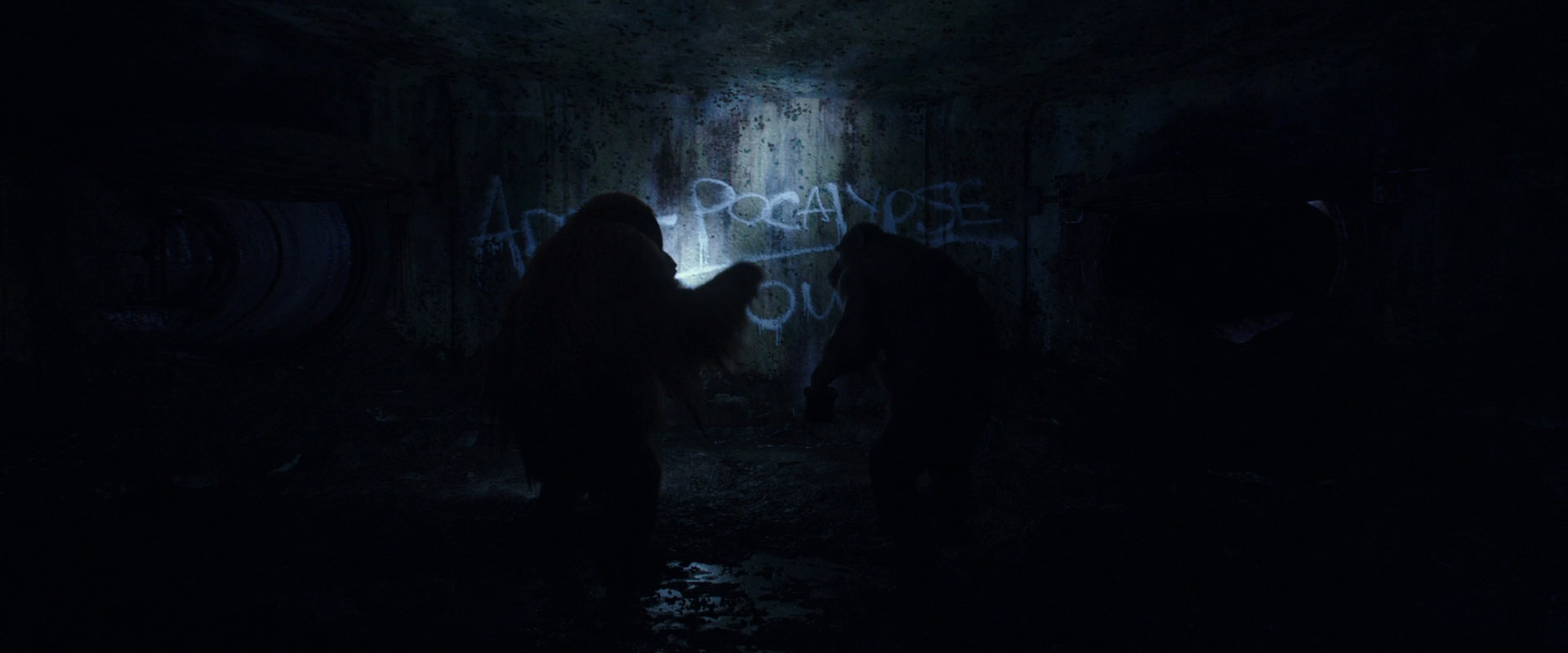 War for the Planet of the Apes (2017) movie still 10372