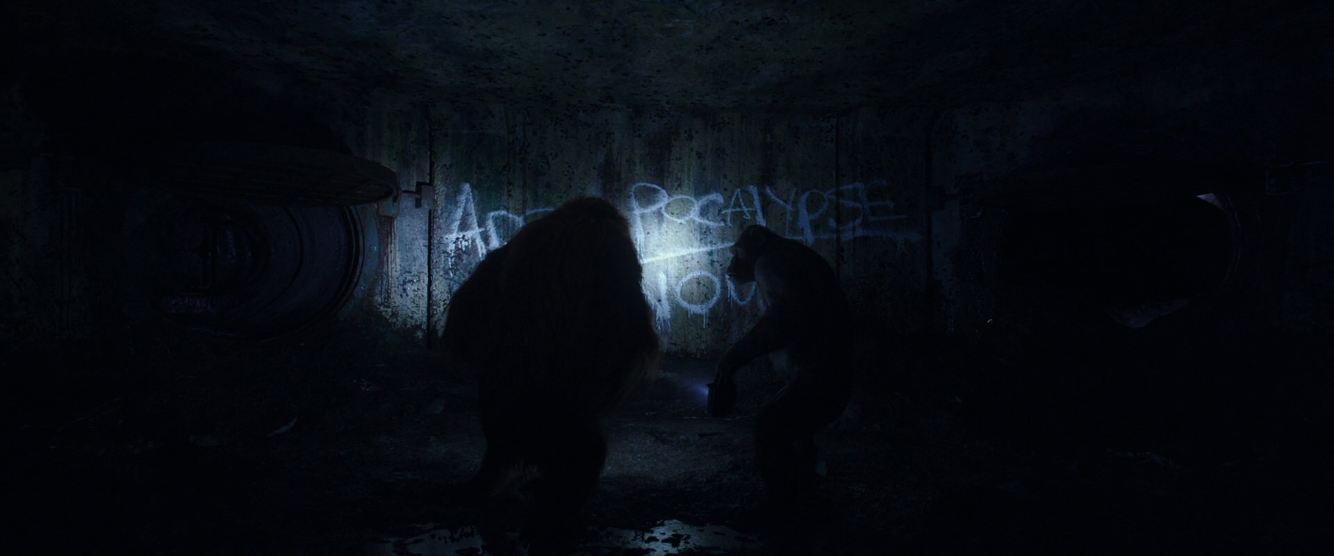 War for the Planet of the Apes (2017) movie still 10375