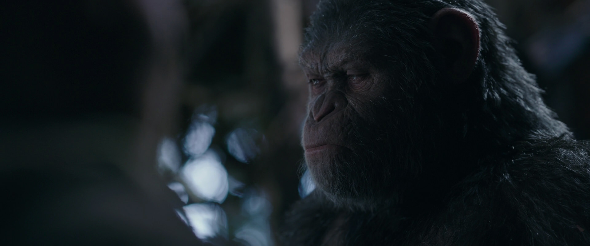 War for the Planet of the Apes (2017) screencap 1038