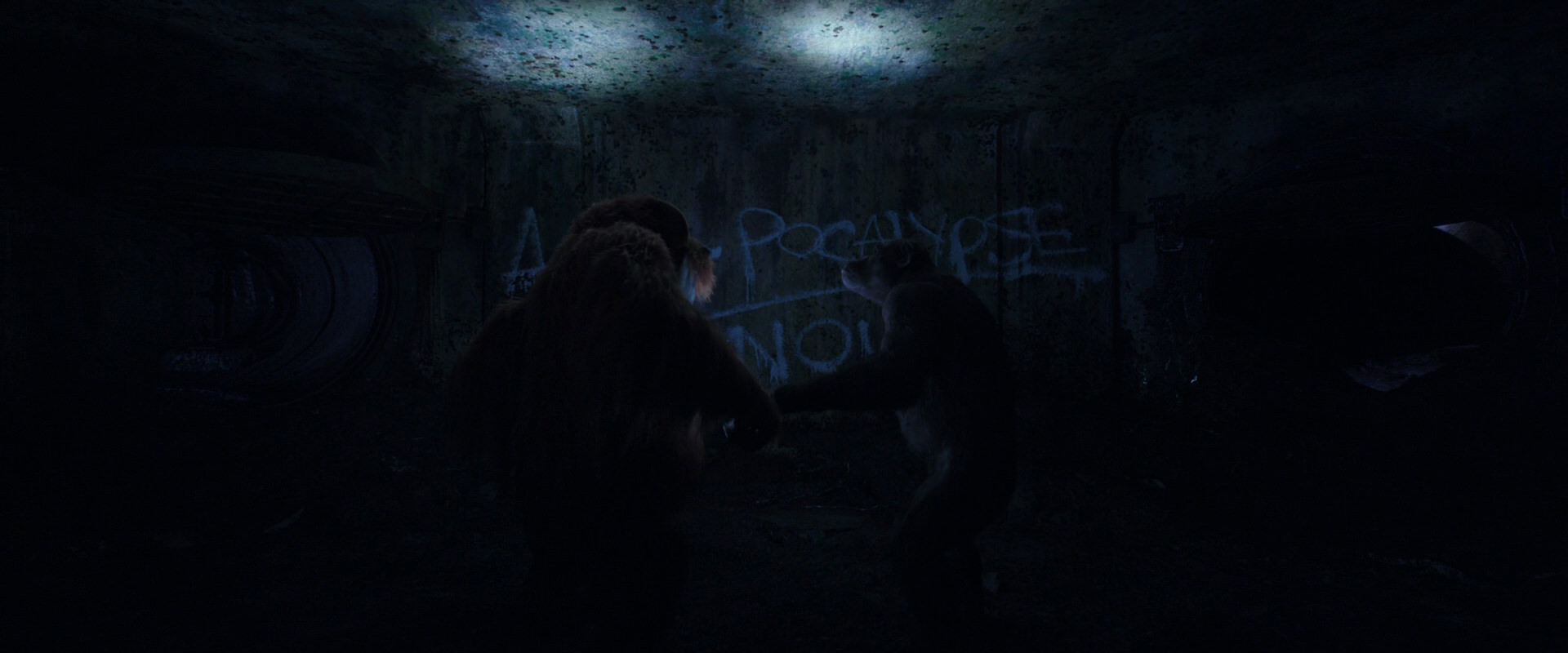 War for the Planet of the Apes (2017) screencap 10380