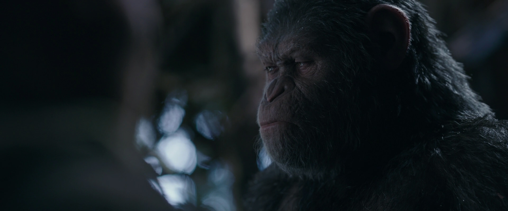 War for the Planet of the Apes (2017) movie still 1039