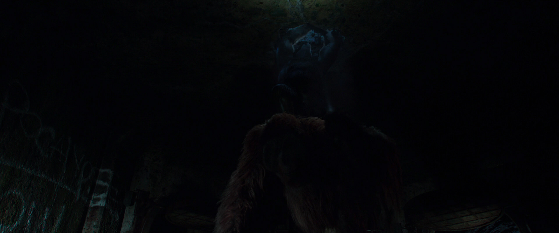 War for the Planet of the Apes (2017) screencap 10404