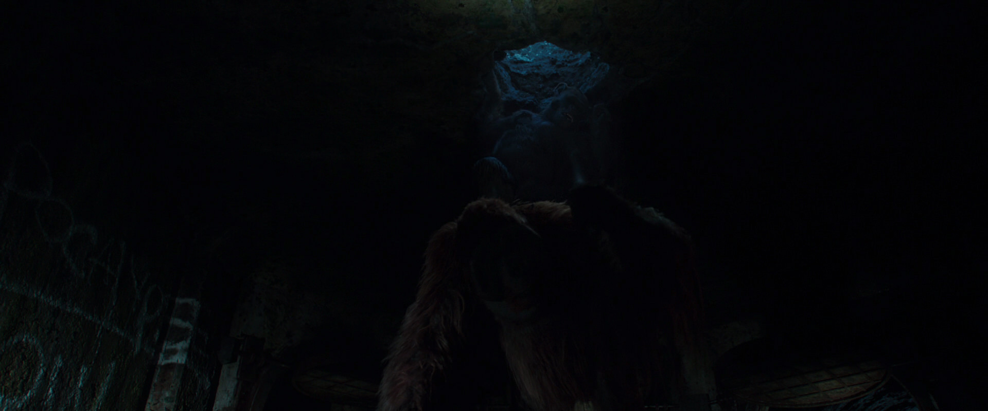 War for the Planet of the Apes (2017) screencap 10407