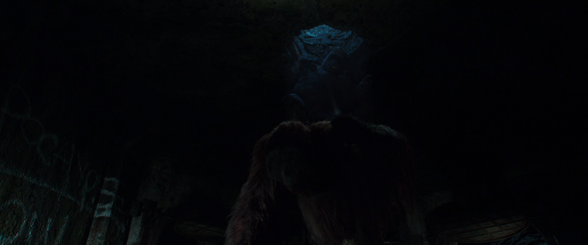 War for the Planet of the Apes (2017) HD screenshot 10409