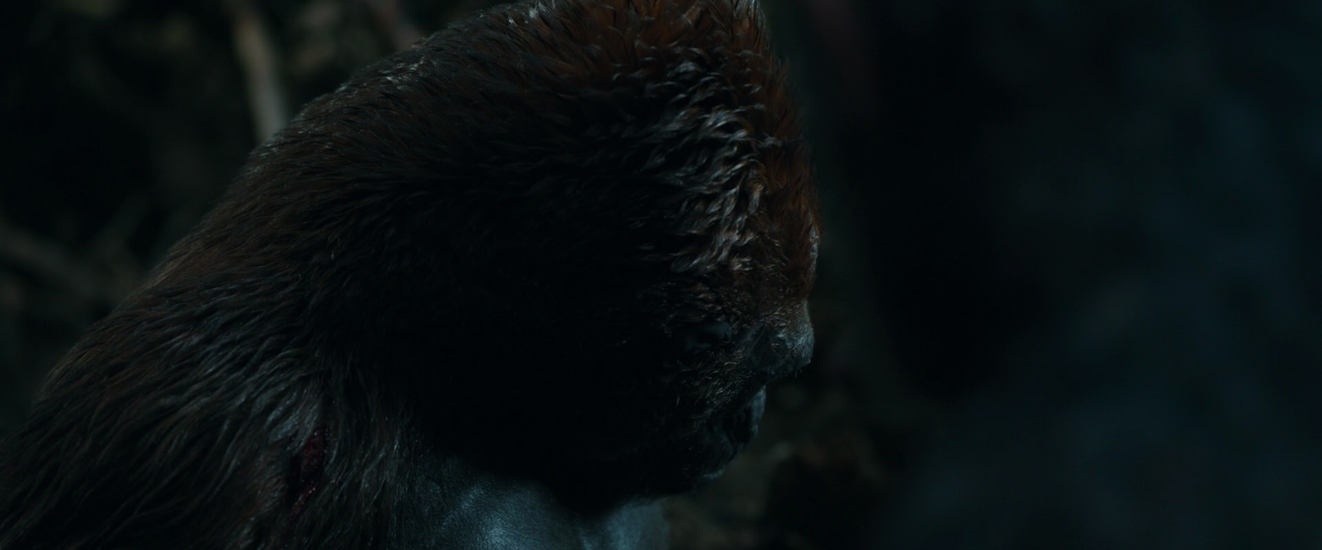 War for the Planet of the Apes (2017) screencap 1041