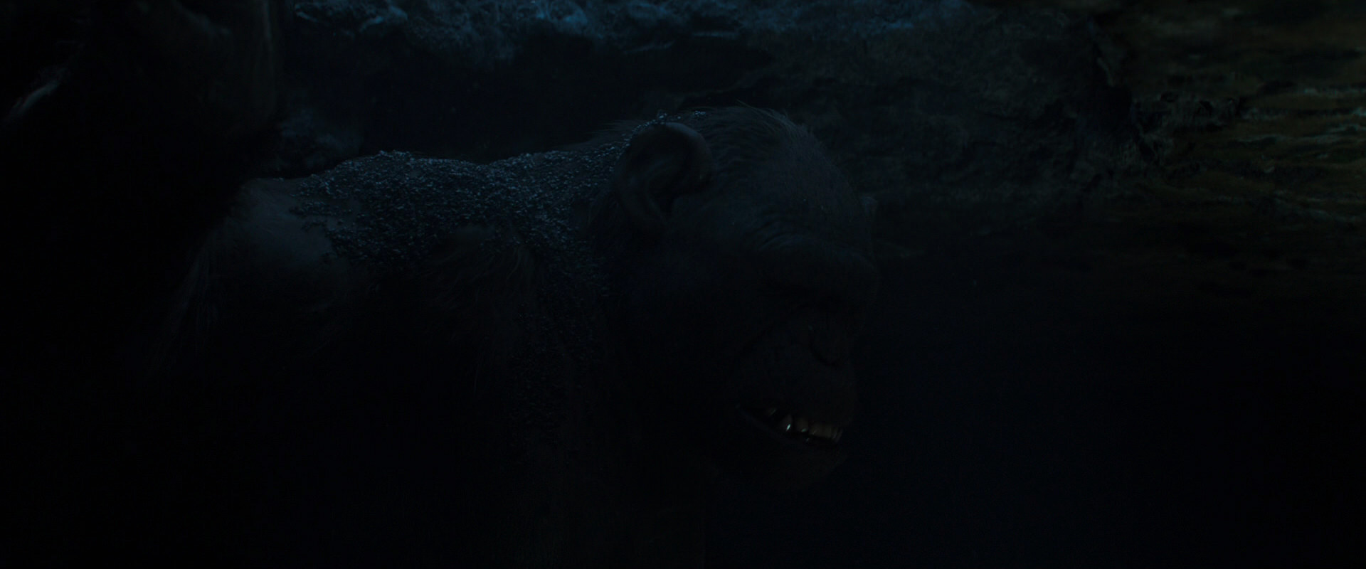 War for the Planet of the Apes (2017) screencap 10410