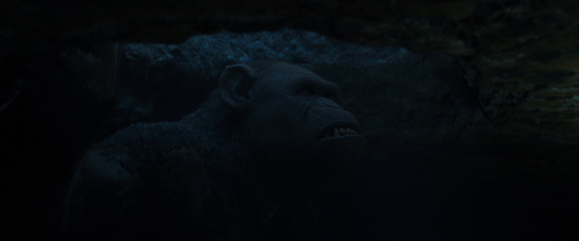 War for the Planet of the Apes (2017) movie still 10411