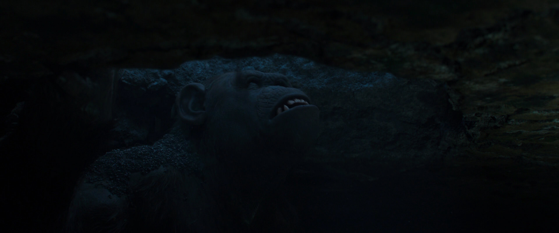 War for the Planet of the Apes (2017) HD screenshot 10412