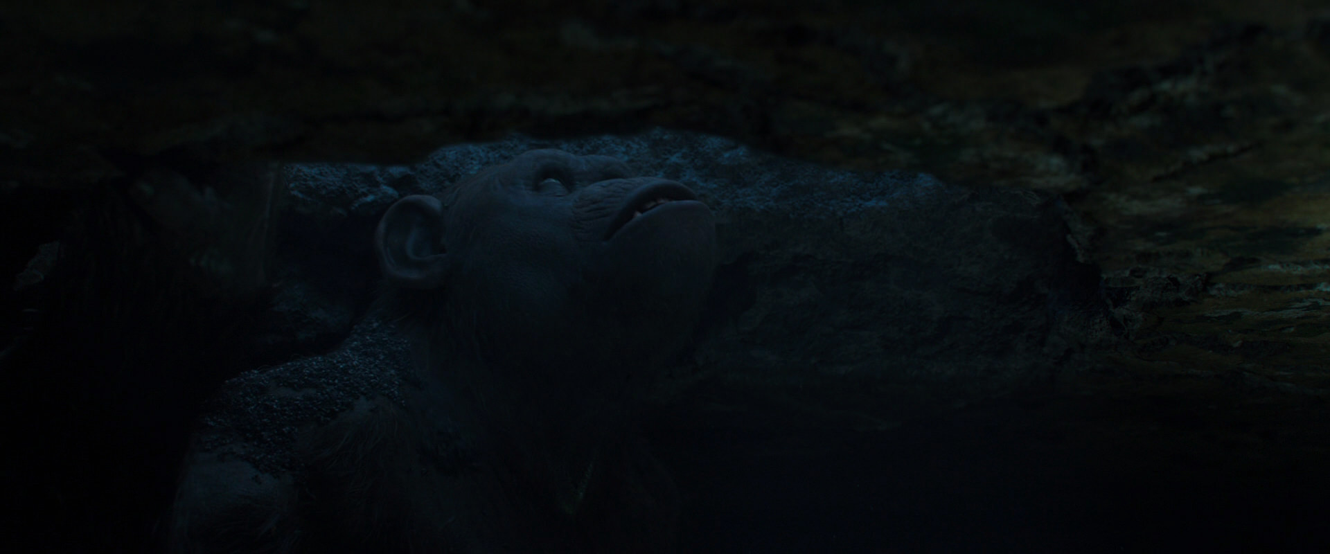 War for the Planet of the Apes (2017) screencap 10413