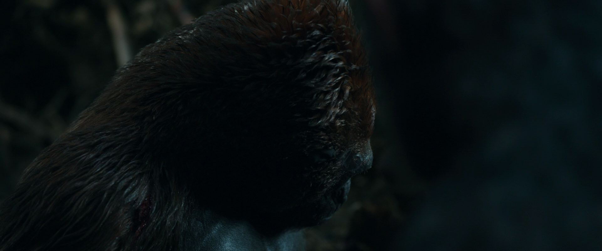 War for the Planet of the Apes (2017) movie still 1042