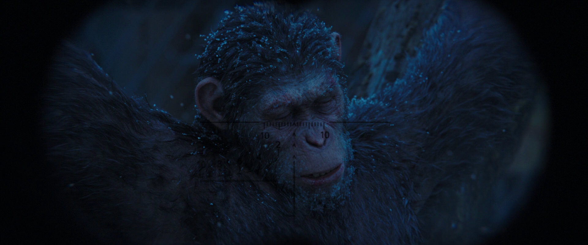 War for the Planet of the Apes (2017) HD screenshot 10421