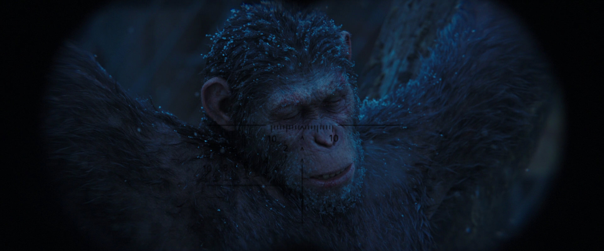 War for the Planet of the Apes (2017) screencap 10422