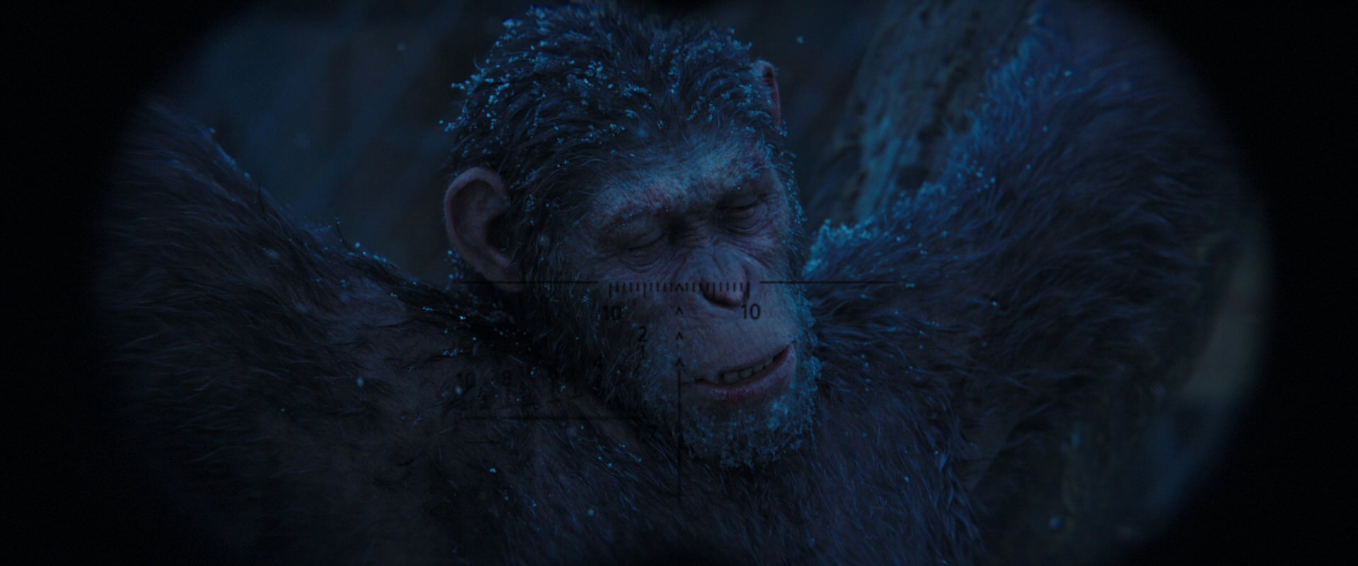 War for the Planet of the Apes (2017) movie still 10423