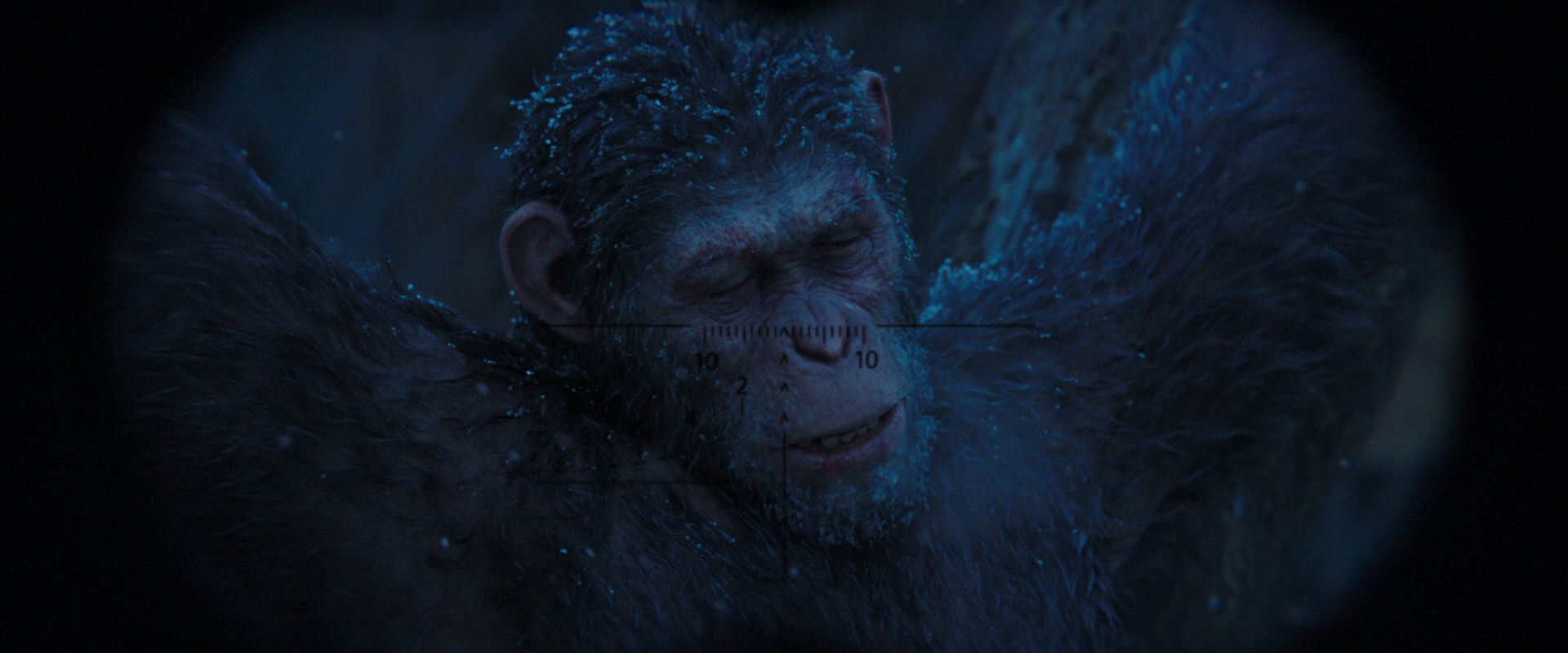 War for the Planet of the Apes (2017) HD screenshot 10424