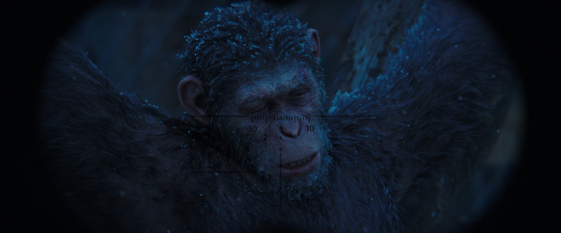 War for the Planet of the Apes (2017) screencap 10425