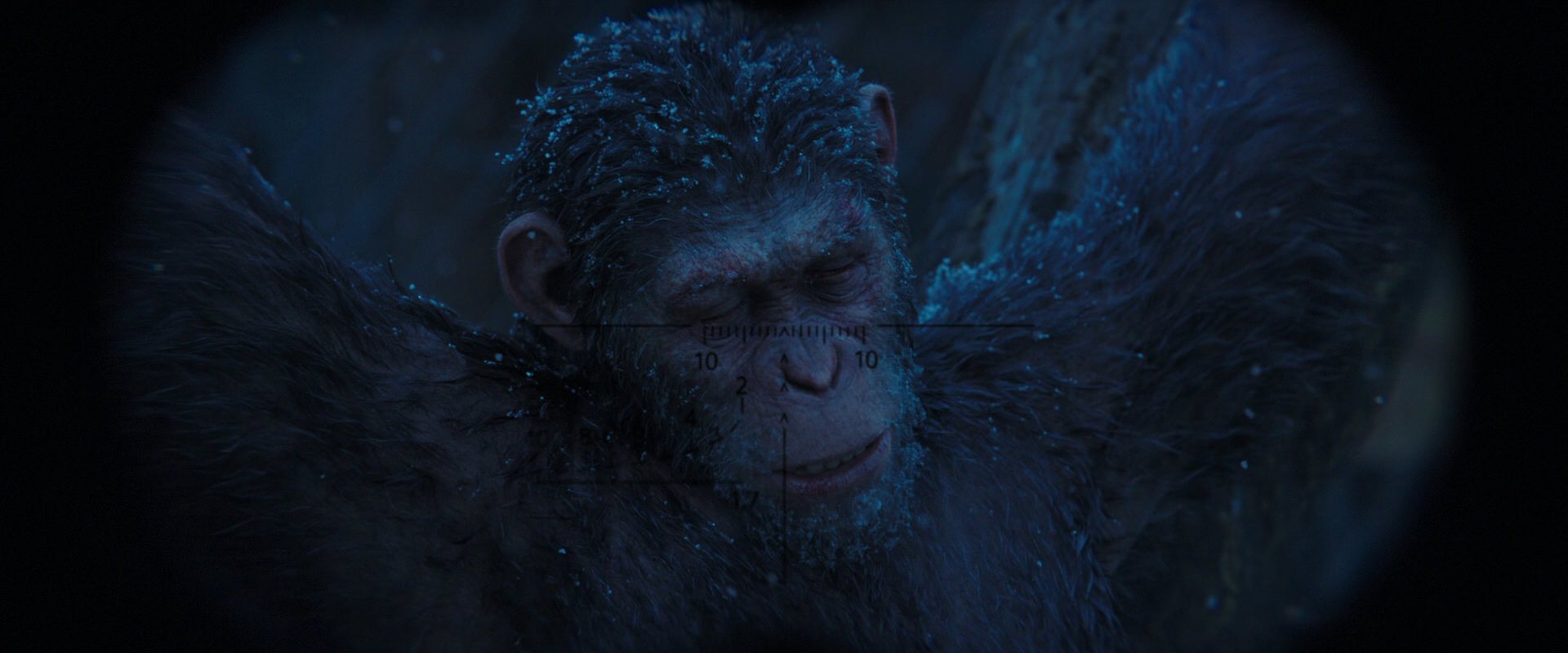 War for the Planet of the Apes (2017) movie still 10426