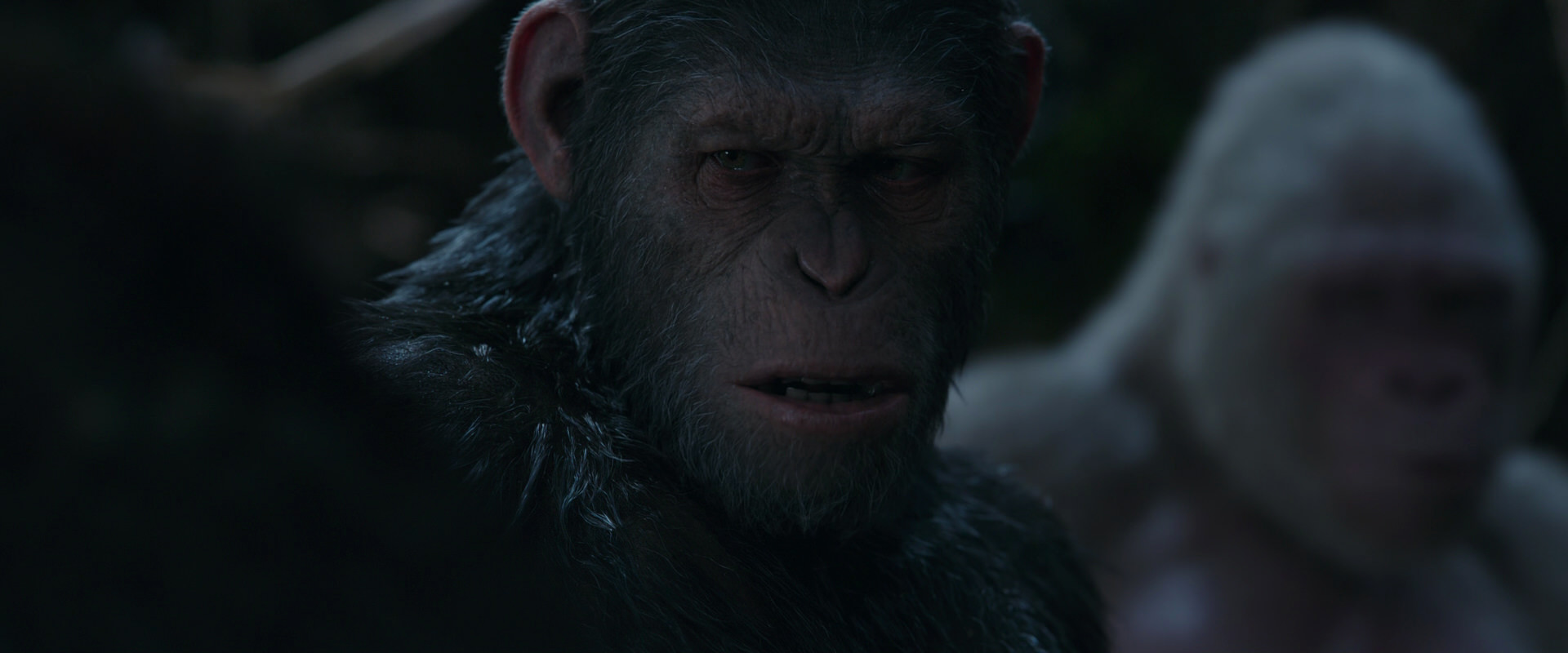 War for the Planet of the Apes (2017) HD screenshot 1043