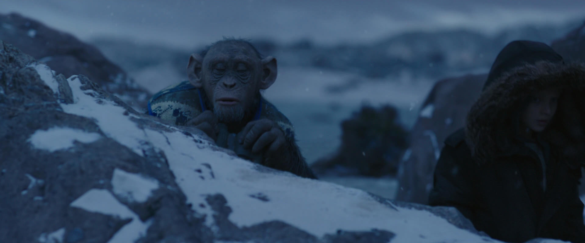 War for the Planet of the Apes (2017) screencap 10431