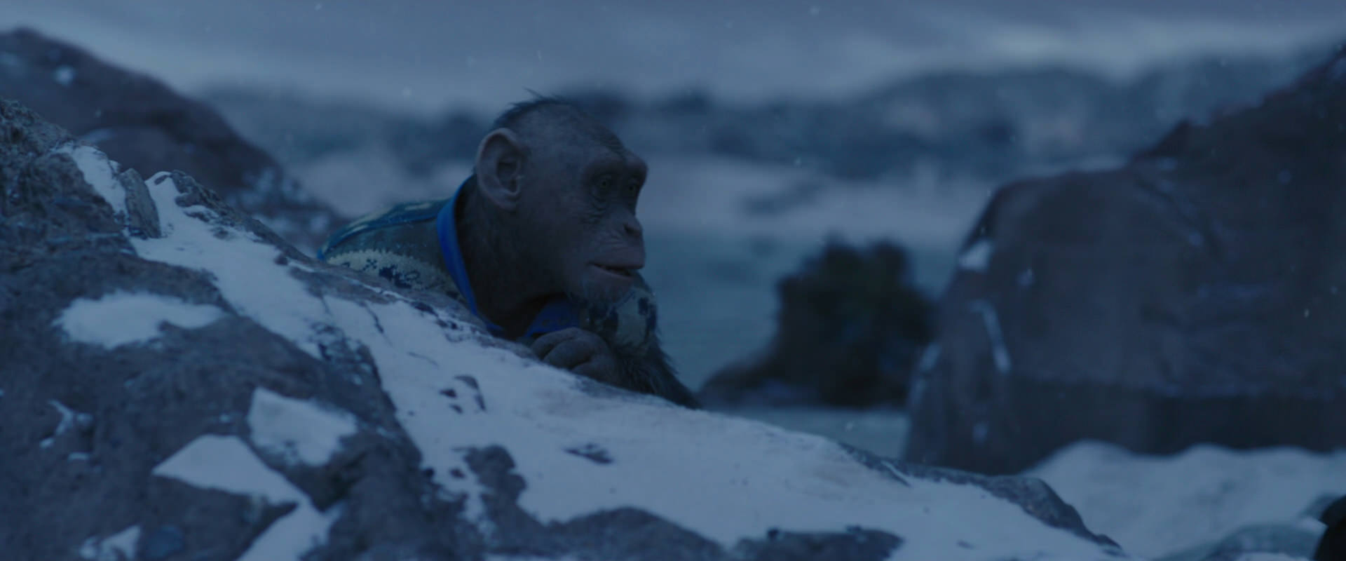 War for the Planet of the Apes (2017) HD screenshot 10433