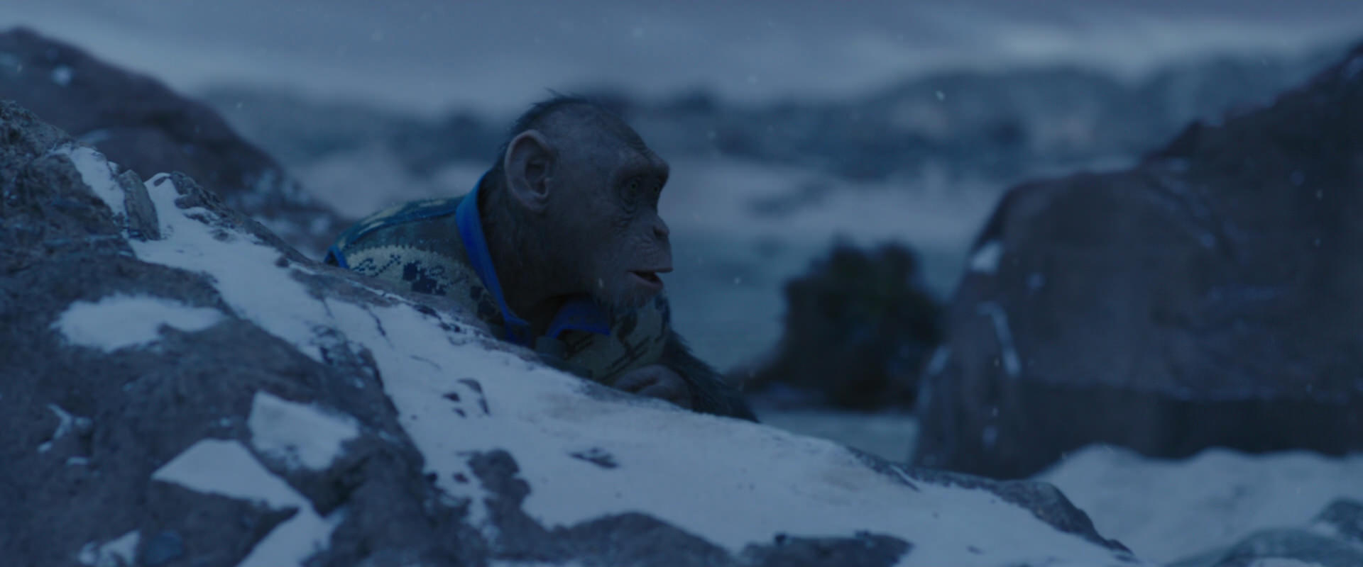 War for the Planet of the Apes (2017) screencap 10434