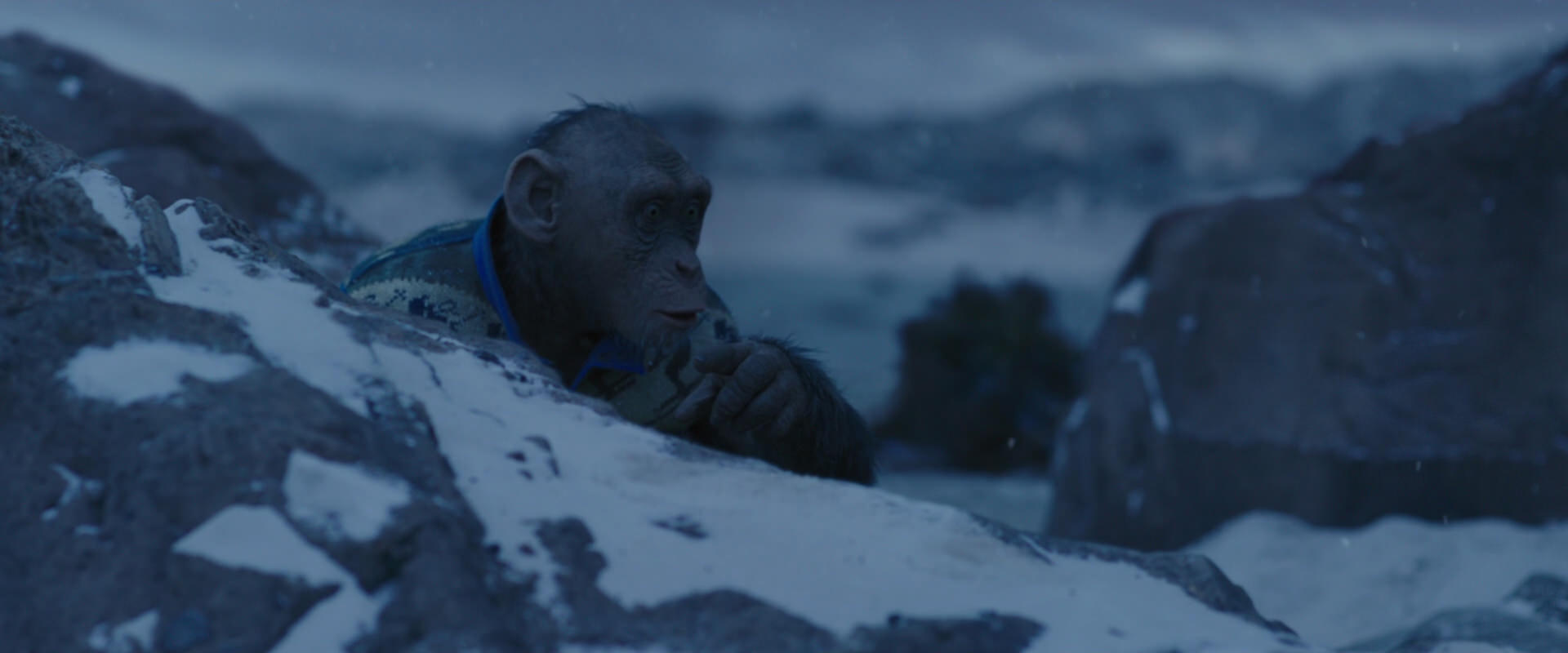 War for the Planet of the Apes (2017) screencap 10437