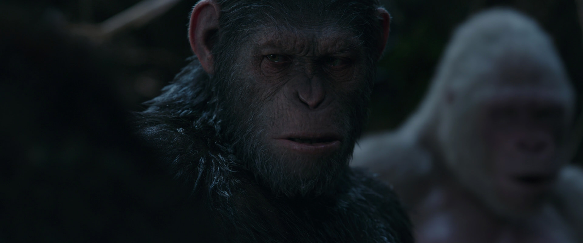 War for the Planet of the Apes (2017) screencap 1044