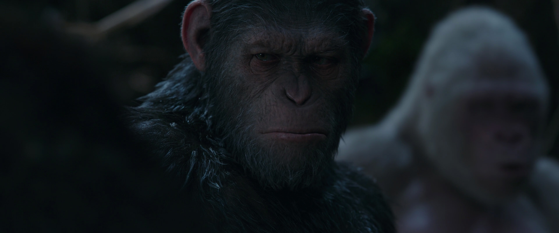 War for the Planet of the Apes (2017) movie still 1045