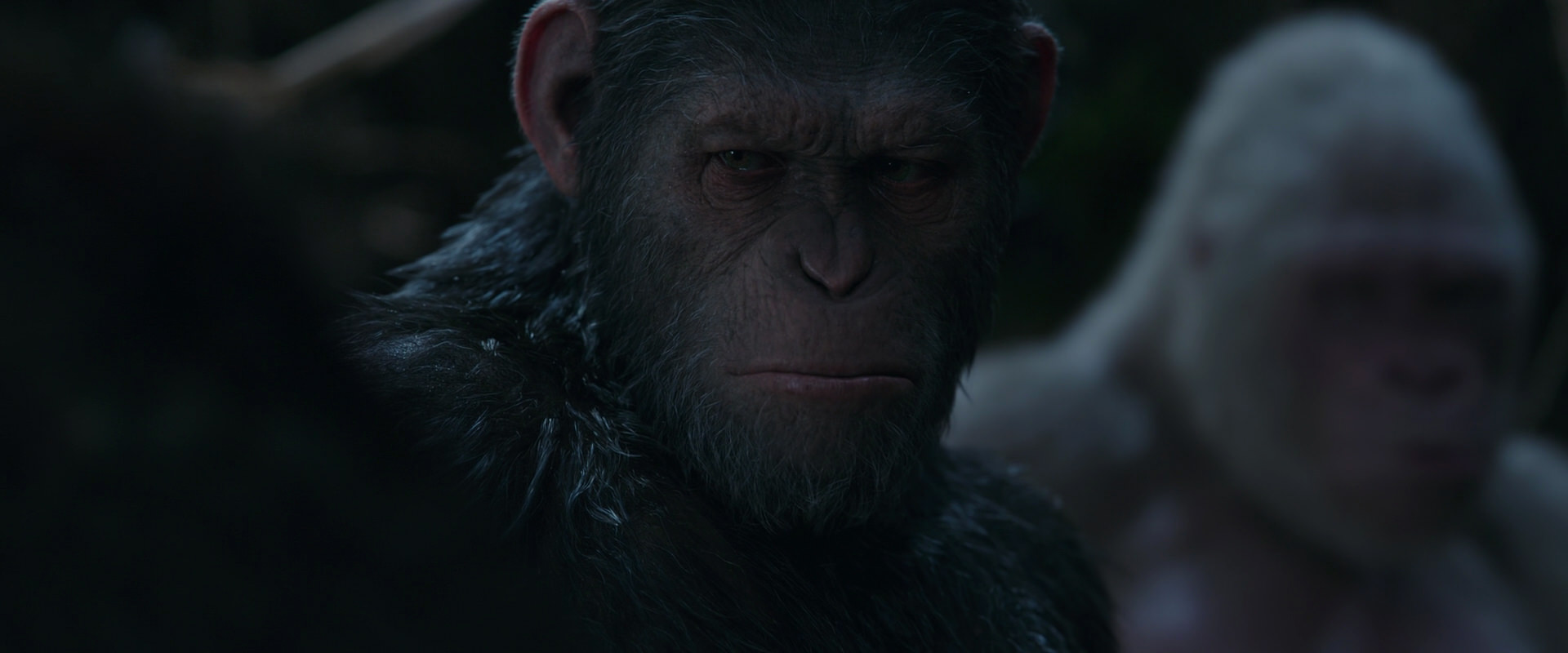 War for the Planet of the Apes (2017) HD screenshot 1046