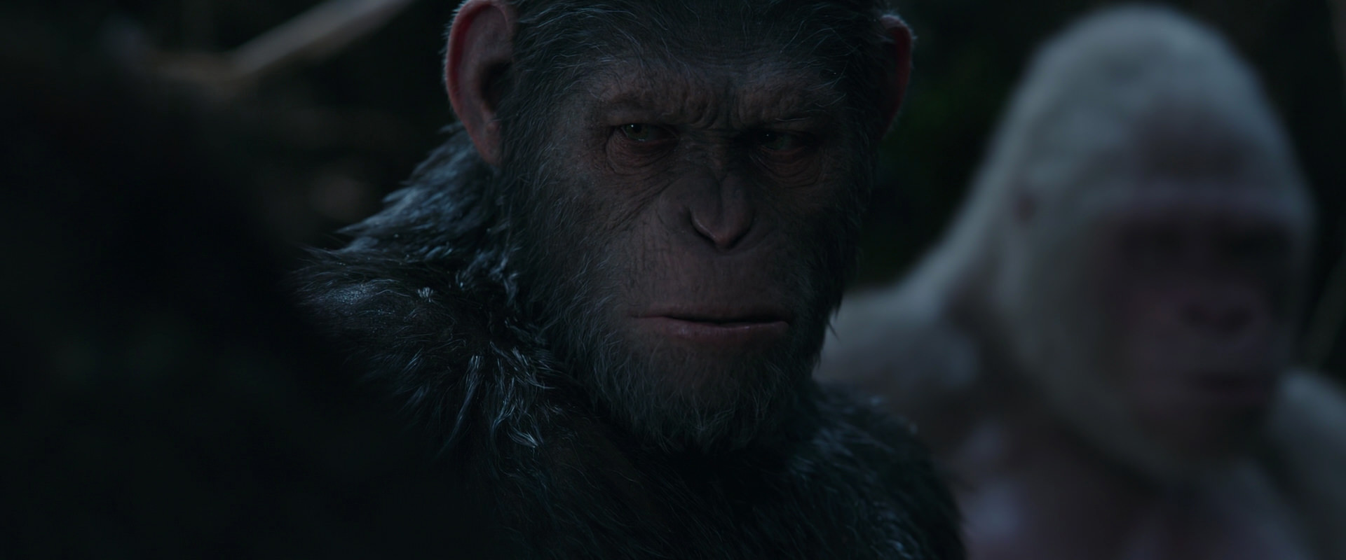 War for the Planet of the Apes (2017) screencap 1047